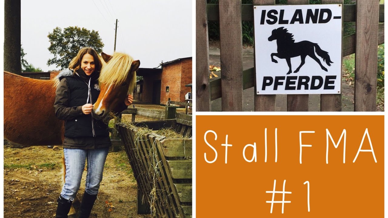 Stall-FMA #1 /Ich hole mein neues Pferd ab, neue Herde, Stallalltag + EURE FRAGEN!