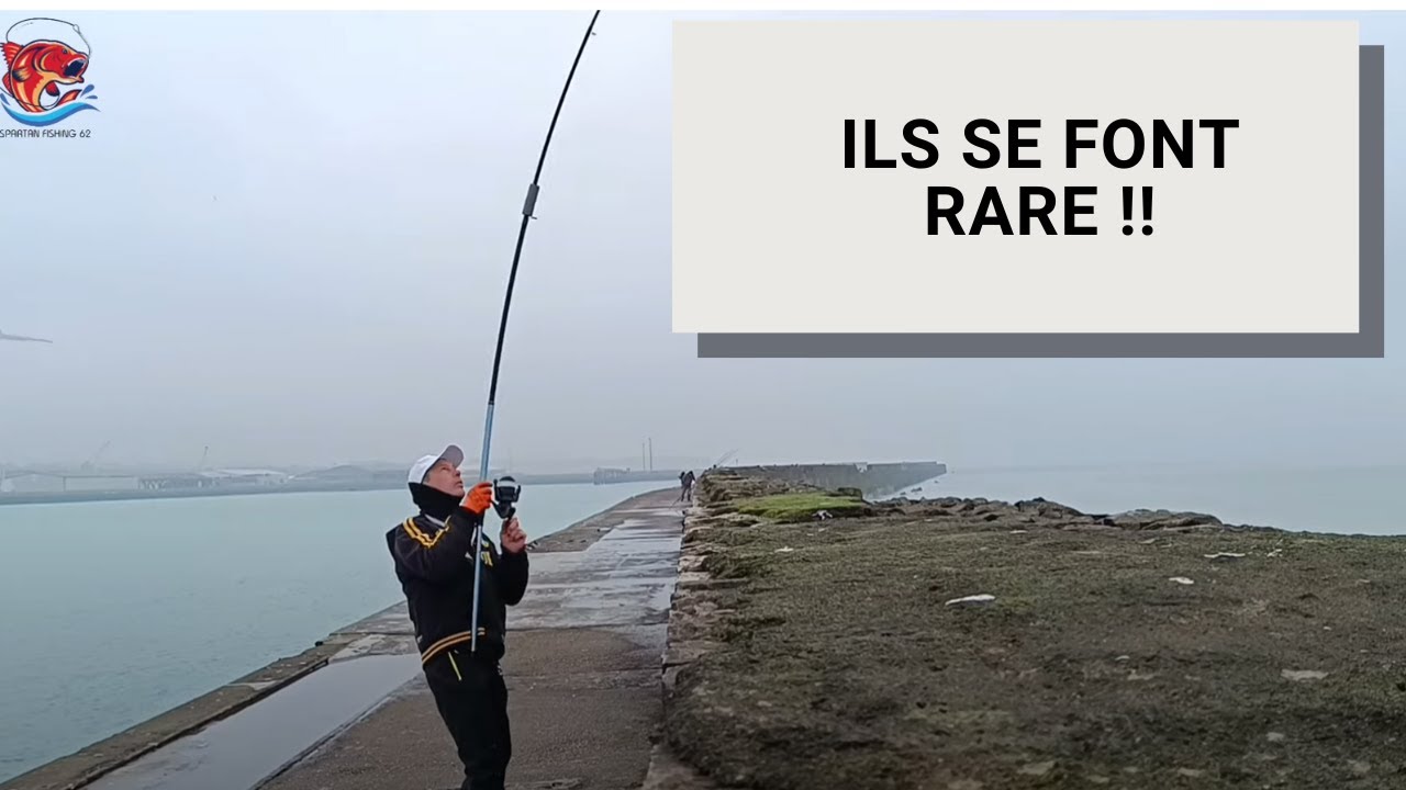 UNE JOURNÉE GLACIALE à la digue carnot