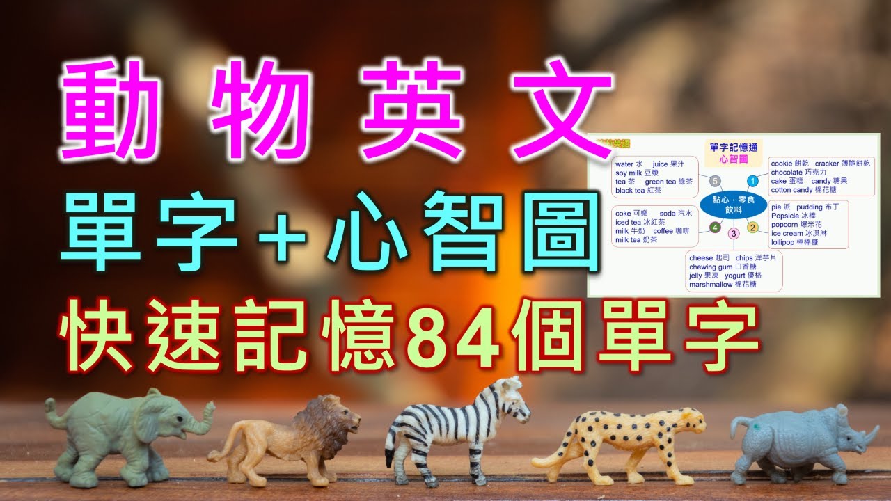 動物英文單字，首創心智圖+節奏感，12分鐘輕鬆記憶84個最常見又實用的動物英文單字。