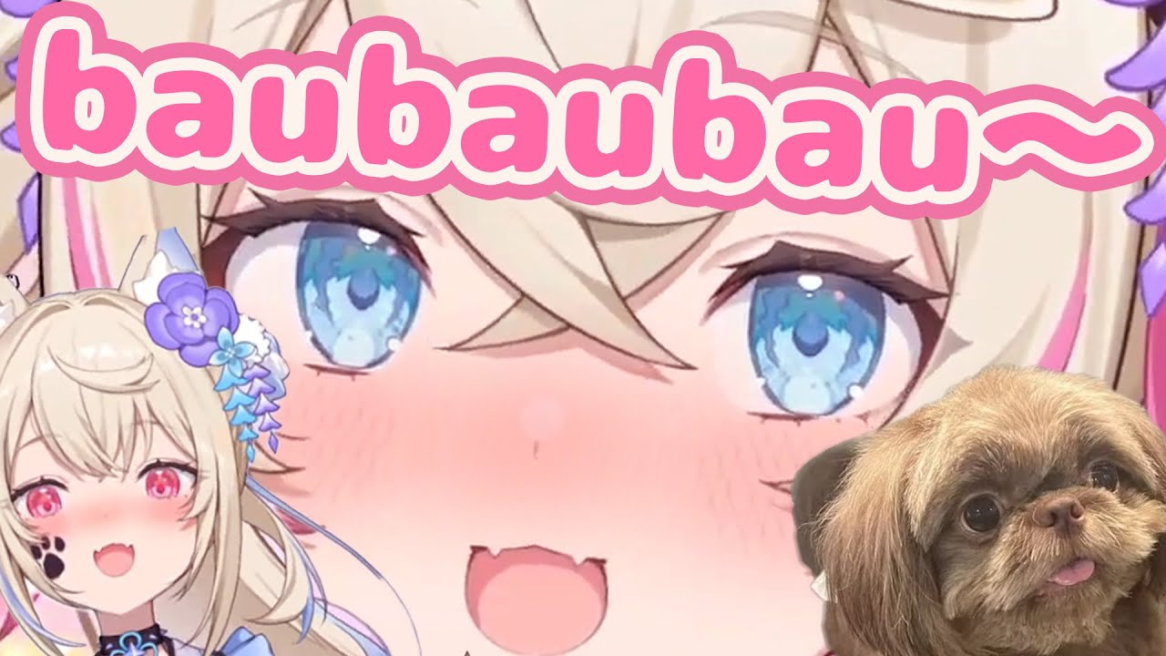 baubaubau...BAUN!!!