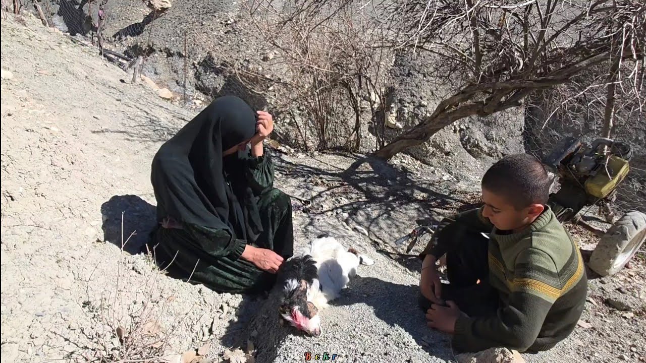 Mother's cry for the dead sheep:💔 Haidar's meeting with his father.