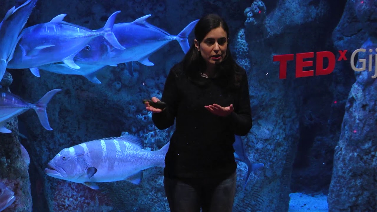 Hasta que los datos confiesen | Beatriz Sinova | TEDxGijon