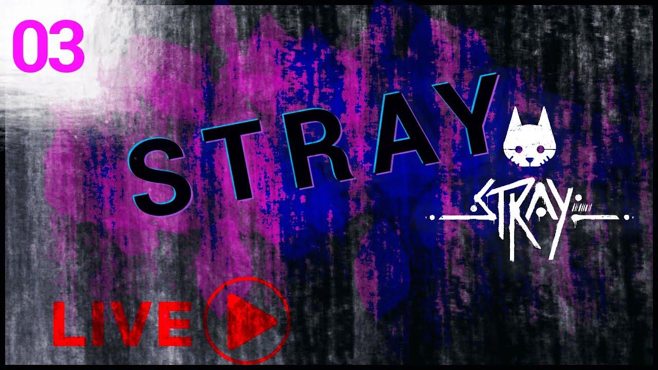 Stray - Temos um robô para acalentar