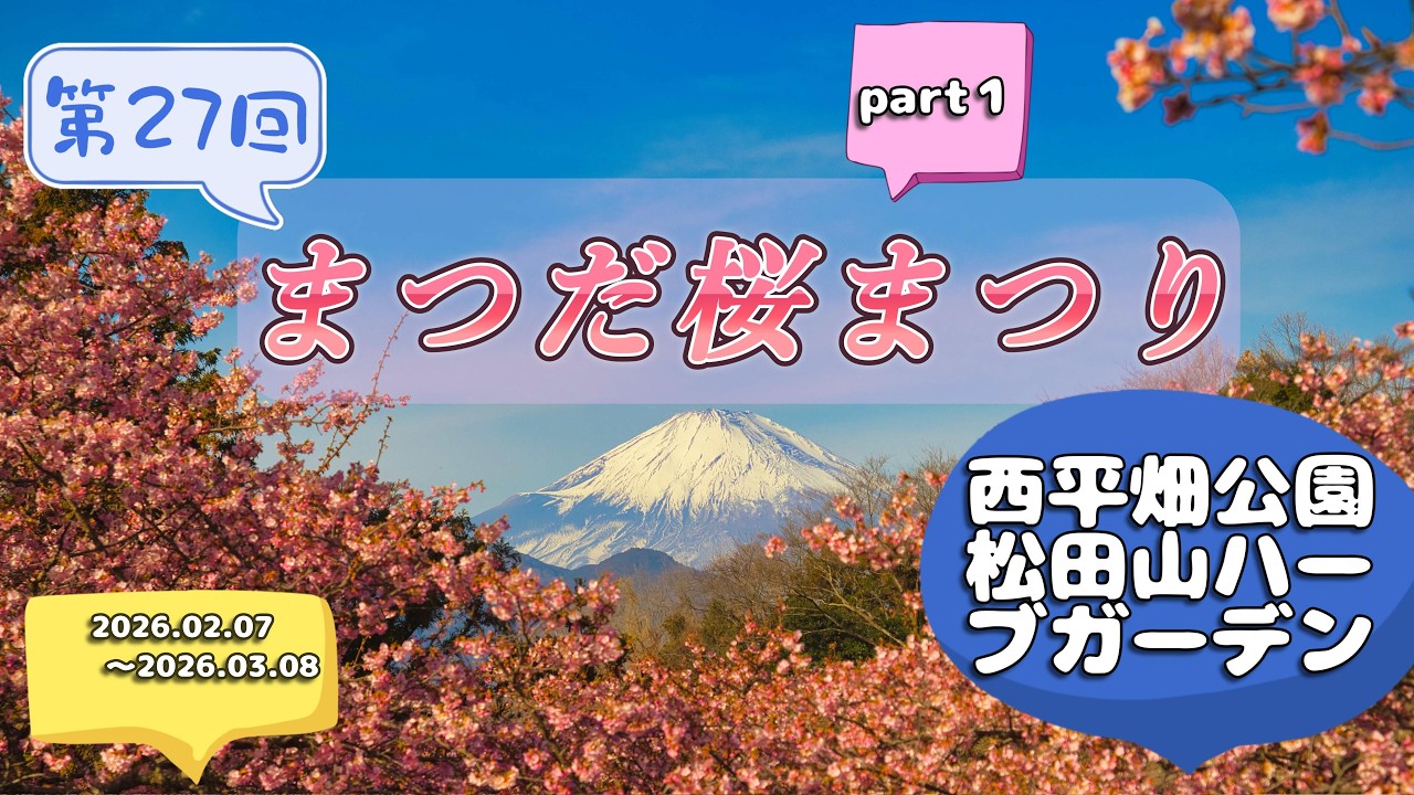 第27回「まつだ桜まつり」河津桜が見頃の西平畑公園の直前情報！（松田山ハーブガーデン）神奈川県足柄上郡松田町　2026.02.07～2026.03.08【4K】河津桜　菜の花　富士山