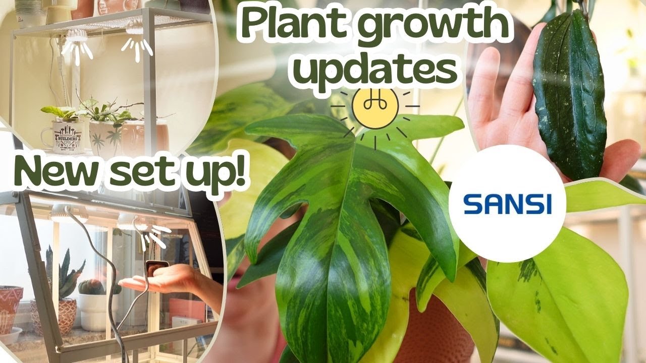 SANSI Grow Lights 6 month Update 💡How are the plants doing? 🌿