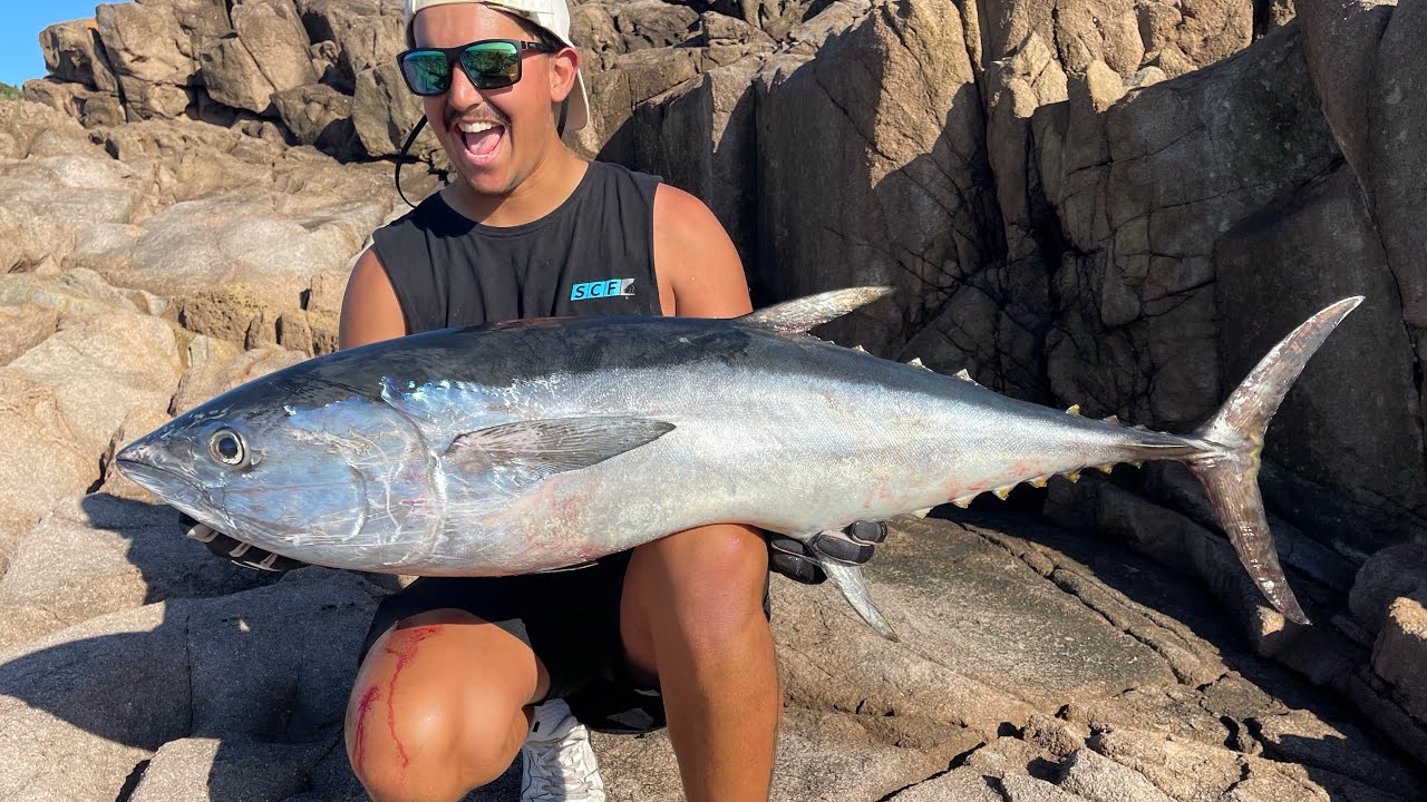 MASSIVE Longtail Tuna Rock Fishing! Land Based Fishing Sydney Australia