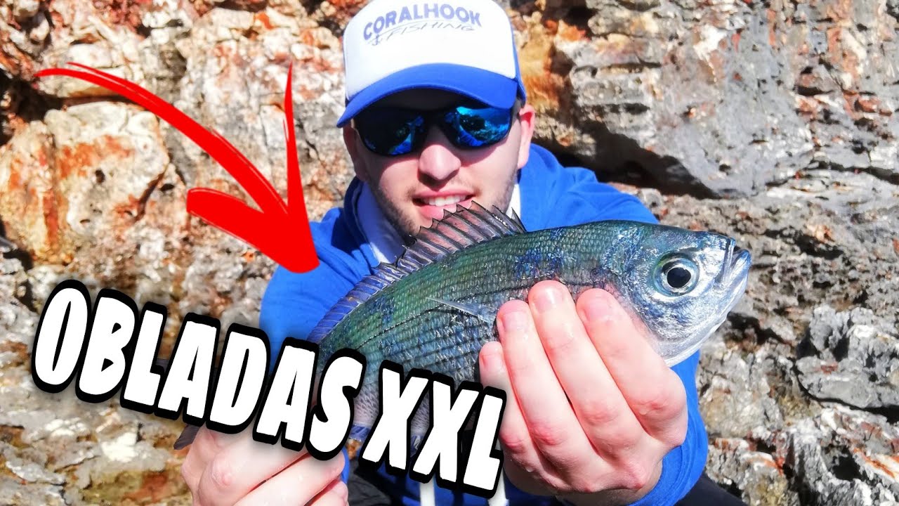 OBLADAS XXL a ROCKFISHING + [ROMPO MI CAÑA! 😱] | Pescando con Suscriptores 14 | CoralHook Fishing