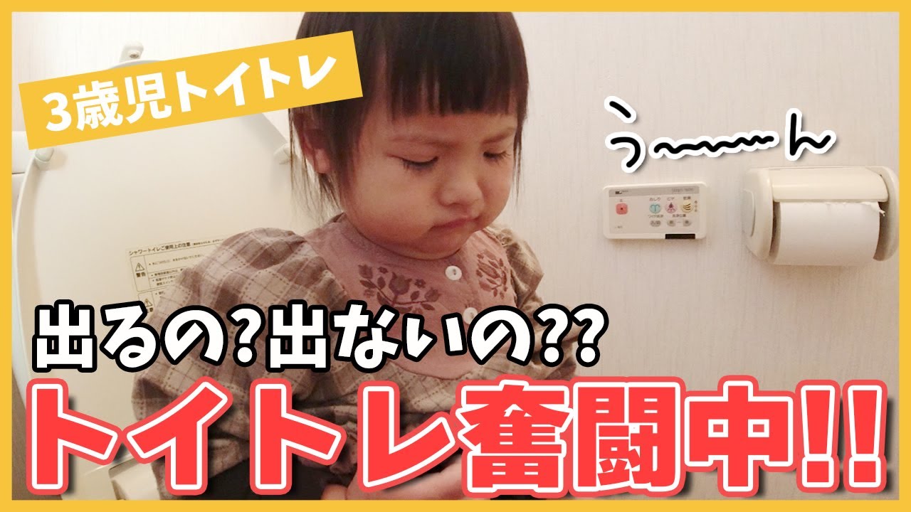 【トイトレ】お花のパンツ、トイレのたびに取り替え？・・・ウ〇チ、本当に出るの？！出ないの？！