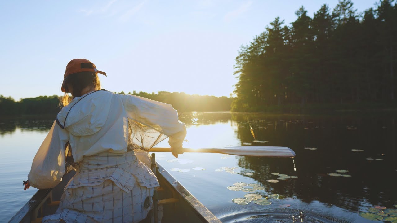 Peaceful Evening Camping and Fishing on a Remote Lake