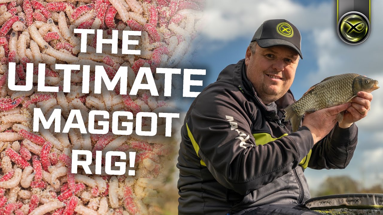 Jamie Hughes' Maggot Rig! ADVANCED rig knowledge! 👀