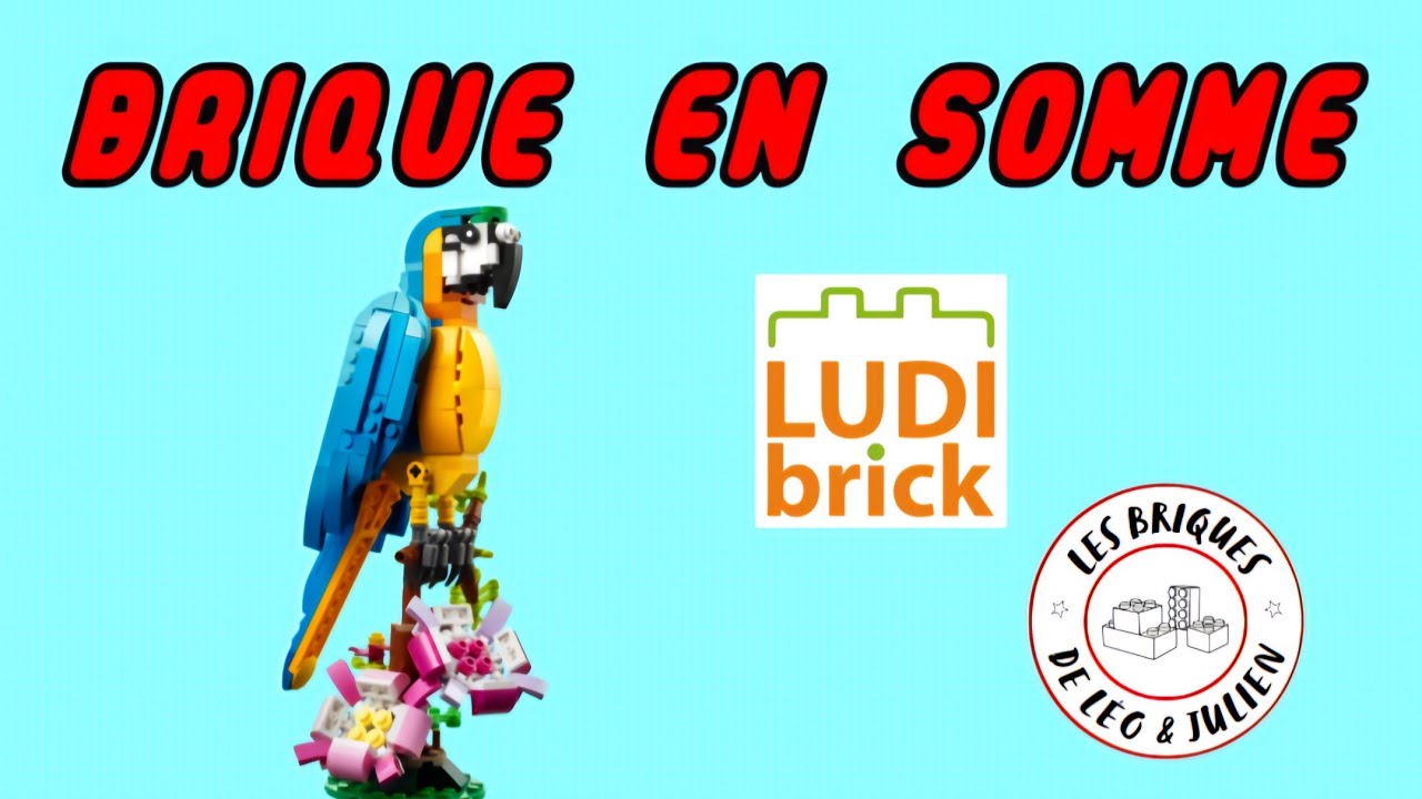 Exposition - Ludibrick 2023 - Treux (80)
