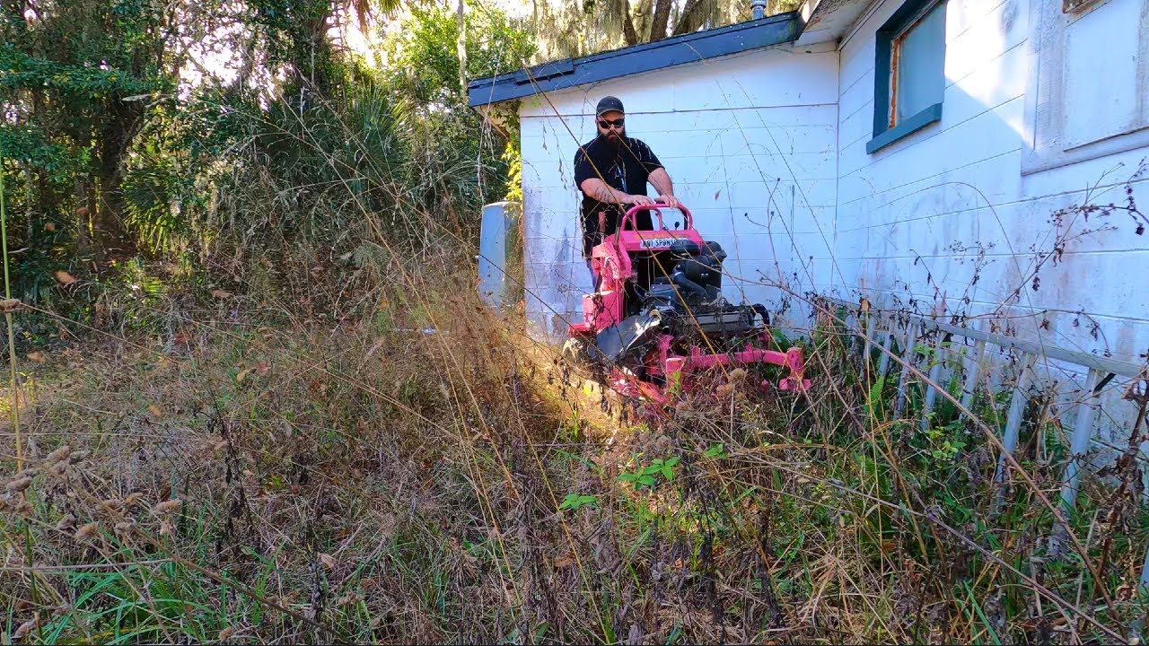 I HAD to CUT this when the NEIGHBORS said it HASN'T been TOUCHED IN YEARS
