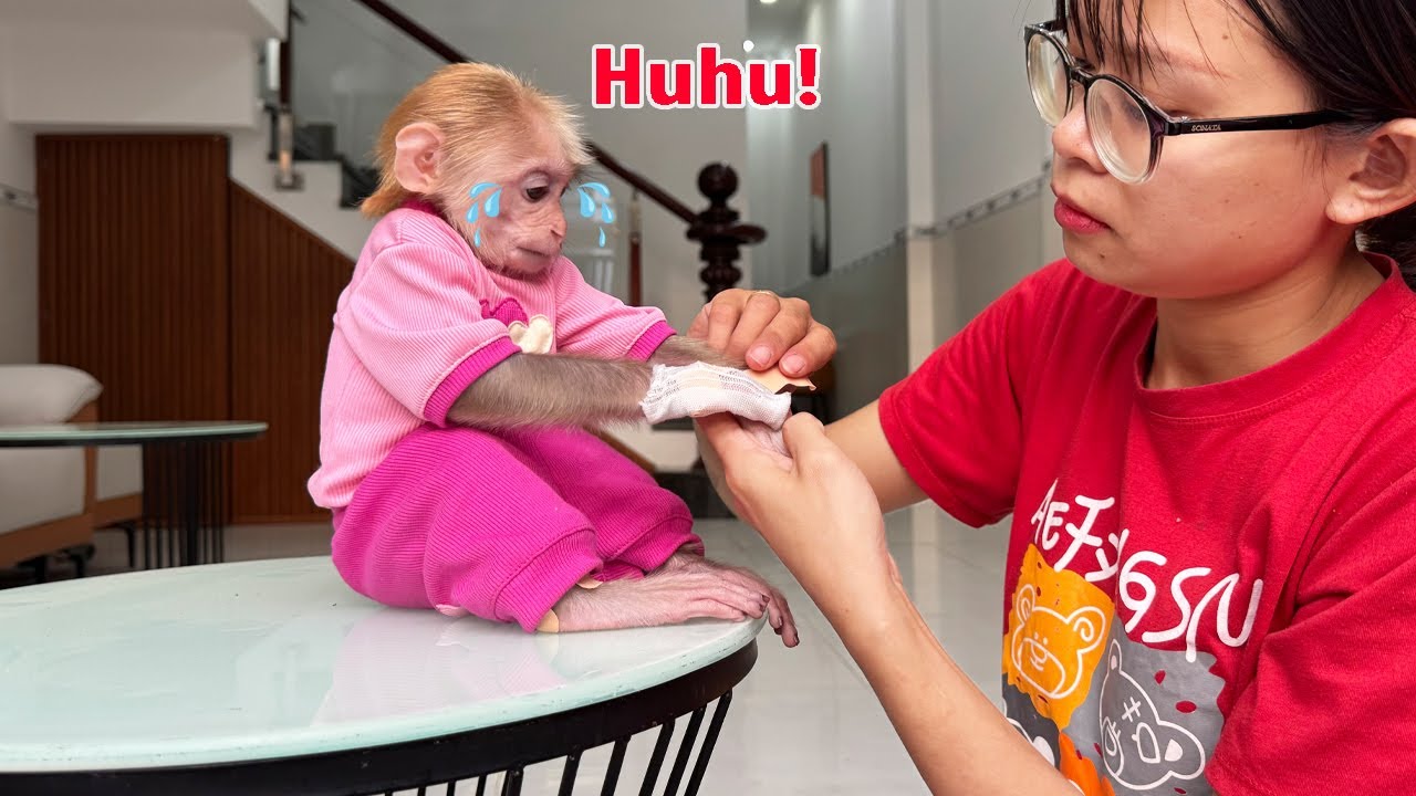 Lucky asked her mother to help her bandage her injured arm what happened
