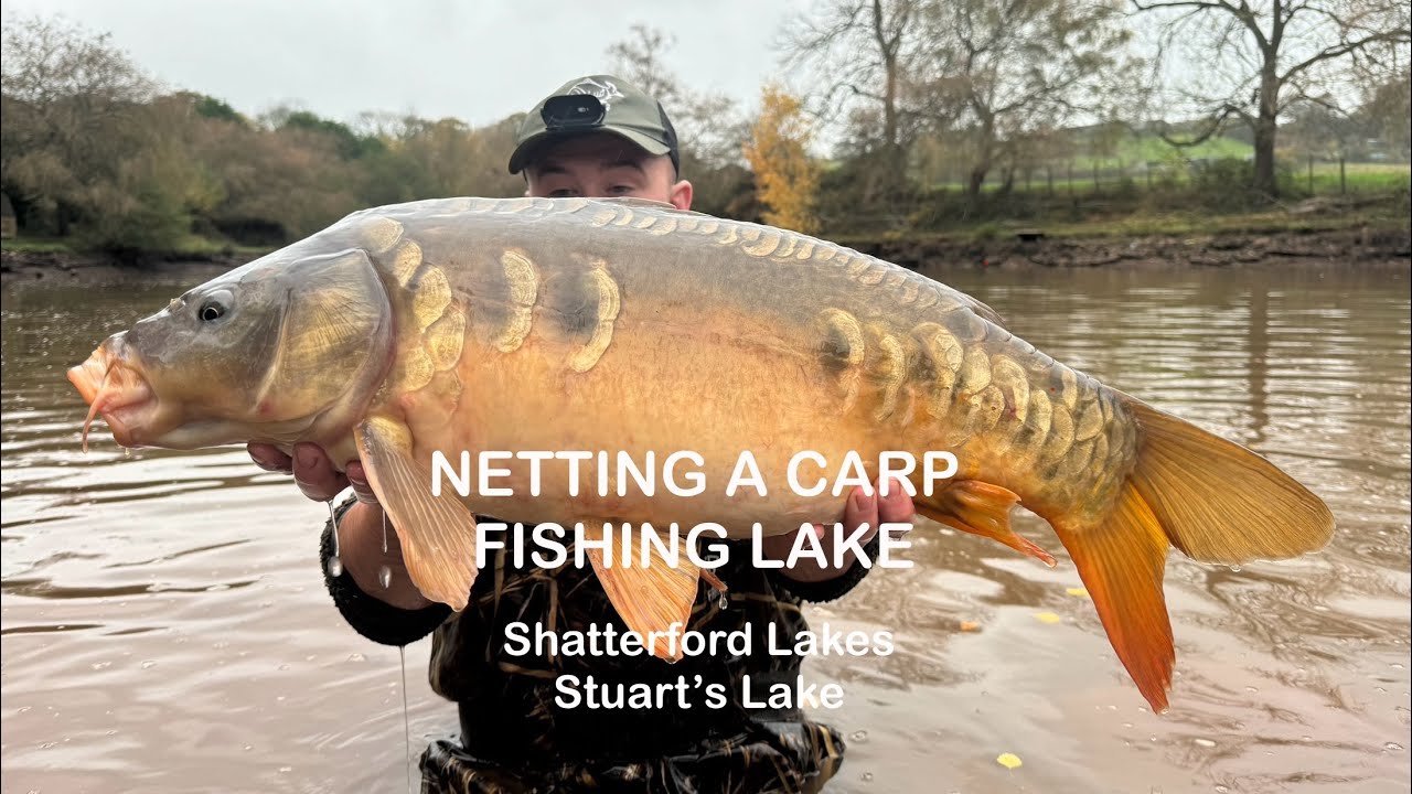 Netting a carp fishing lake (Stuart’s Lake) - Shatterford Lakes