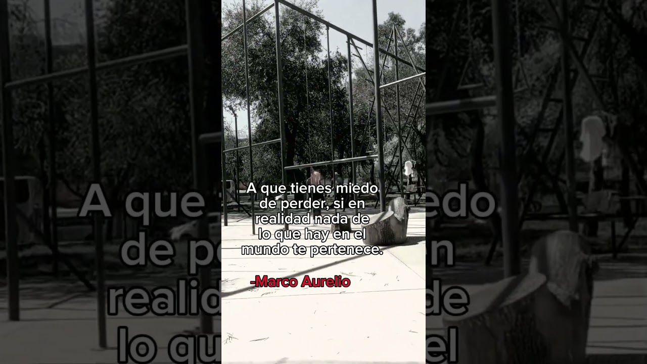 Que tienes miedo? #disciplina #motivacion #resilient #frases #filosofia #gym #desarrollopersonal