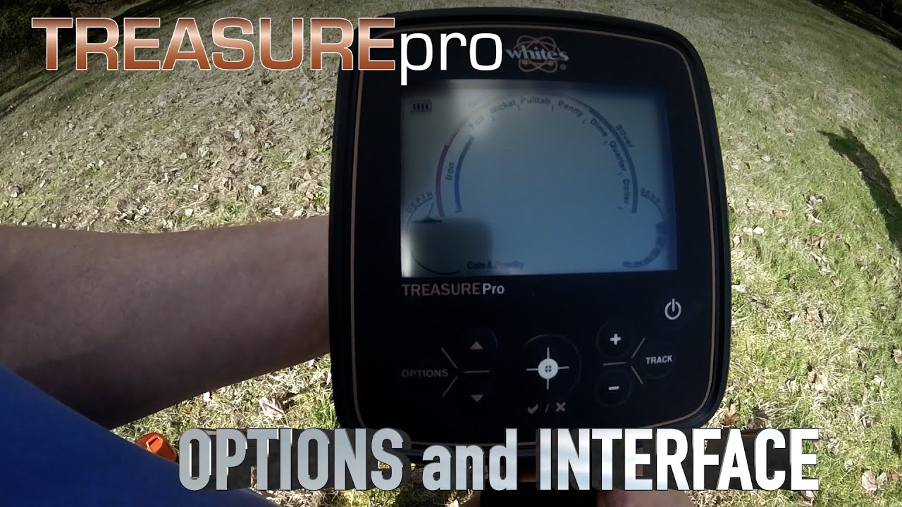 TreasurePro - Options and Interface