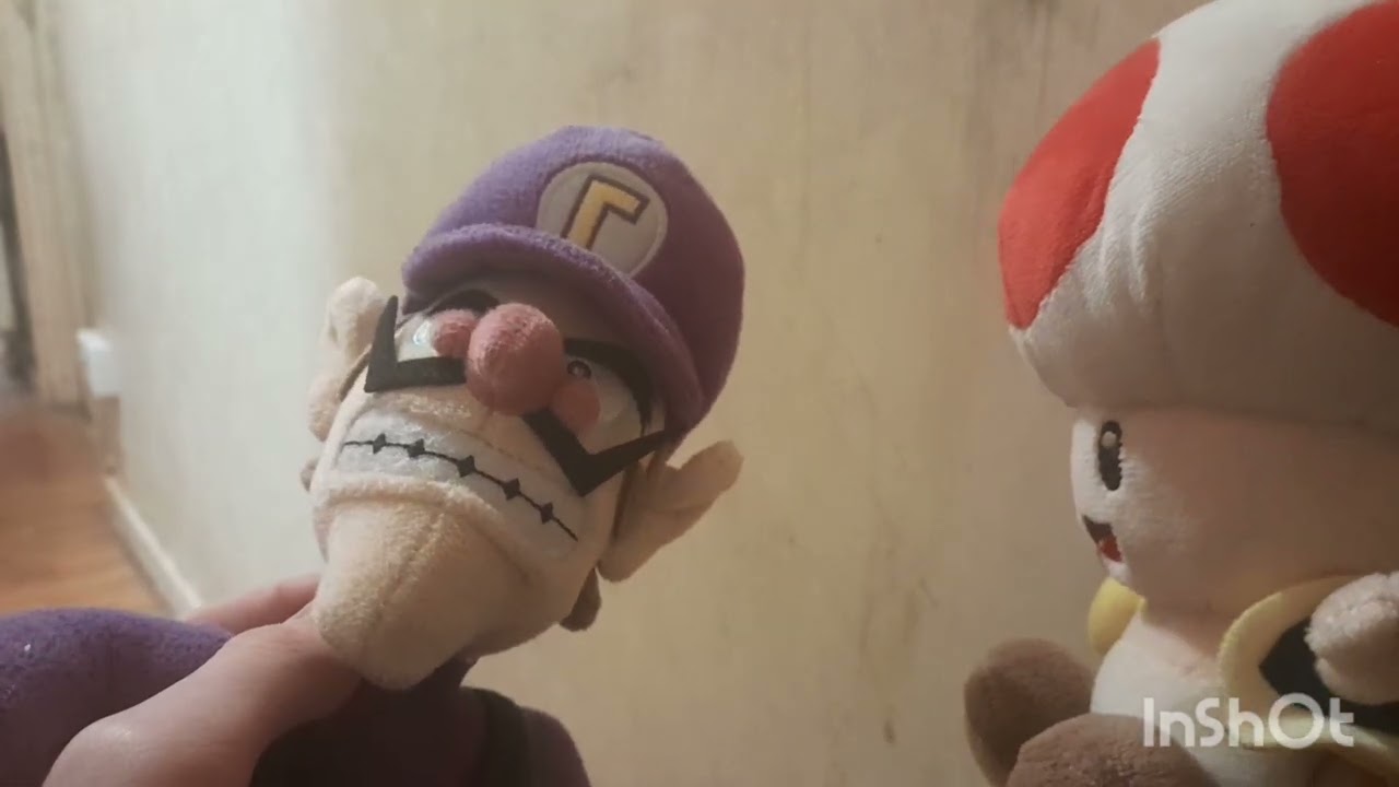 The Wario Bros 