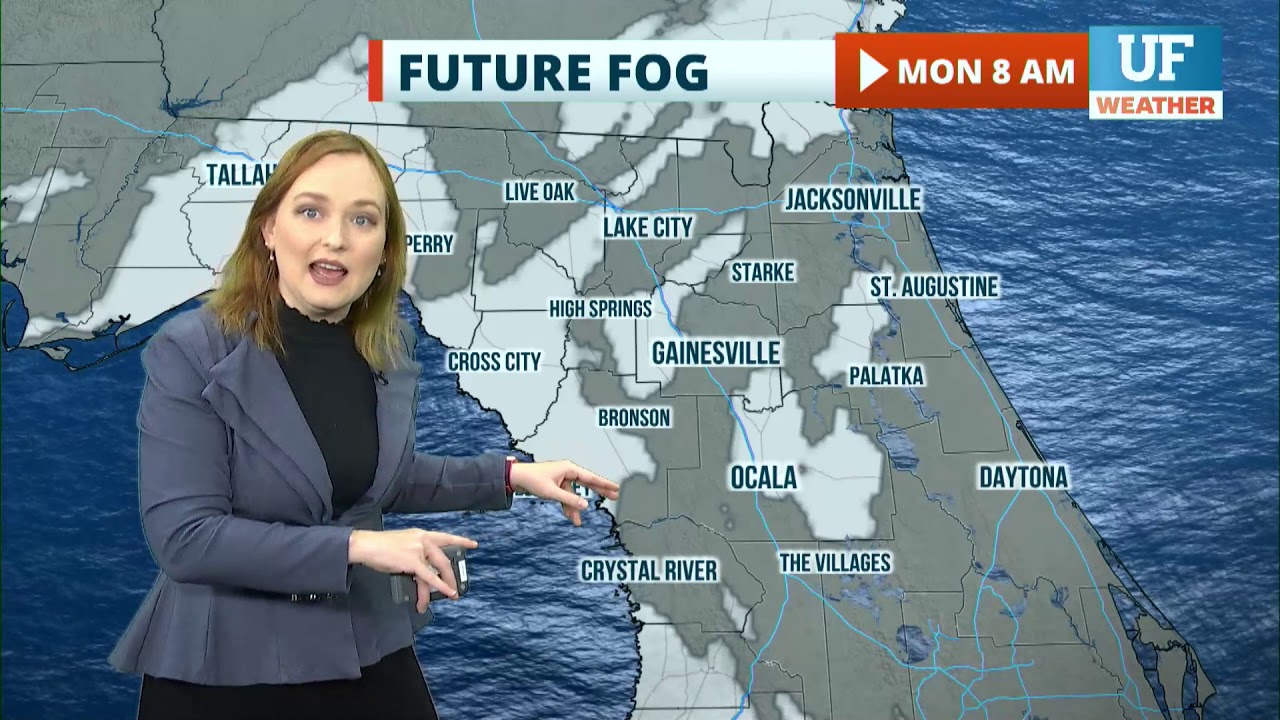 Local forecast for Gainesville-Ocala - January 24, 2021 6 pm ET