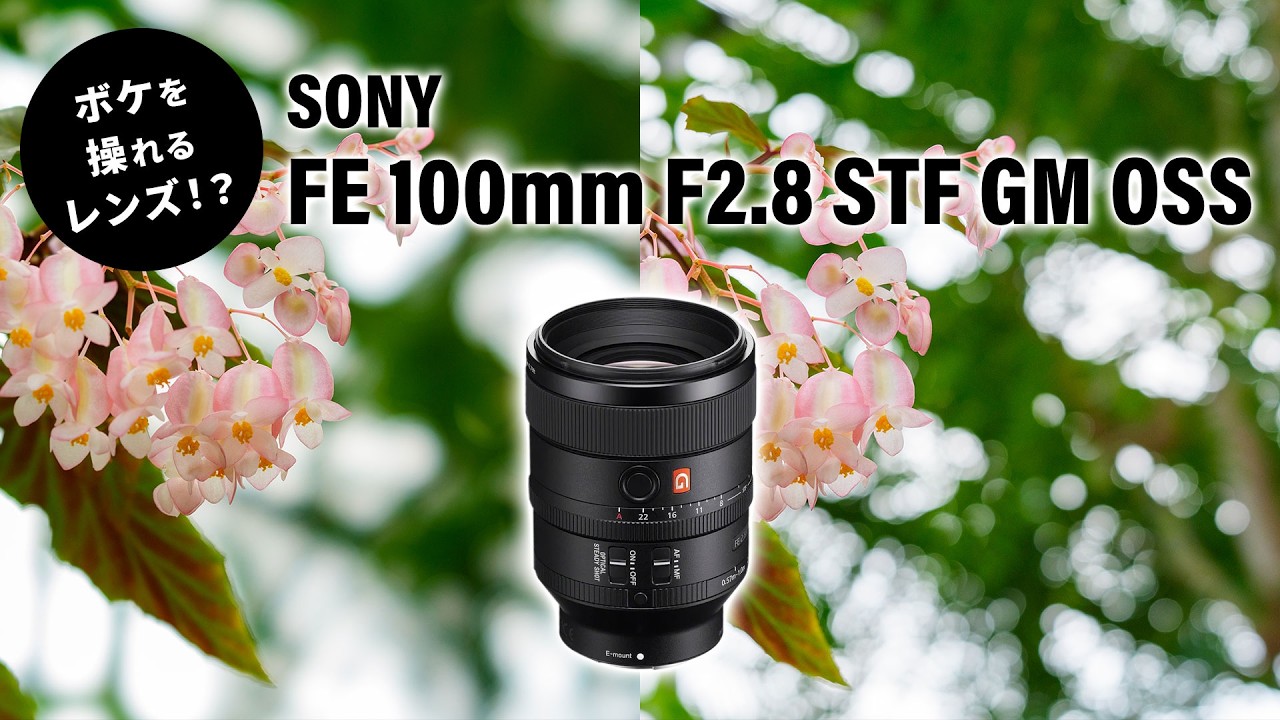 SONY FE 100mm F2.8 STF GM 実機レビュー｜唯一無二のなめらかボケ【フジヤカメラ店】