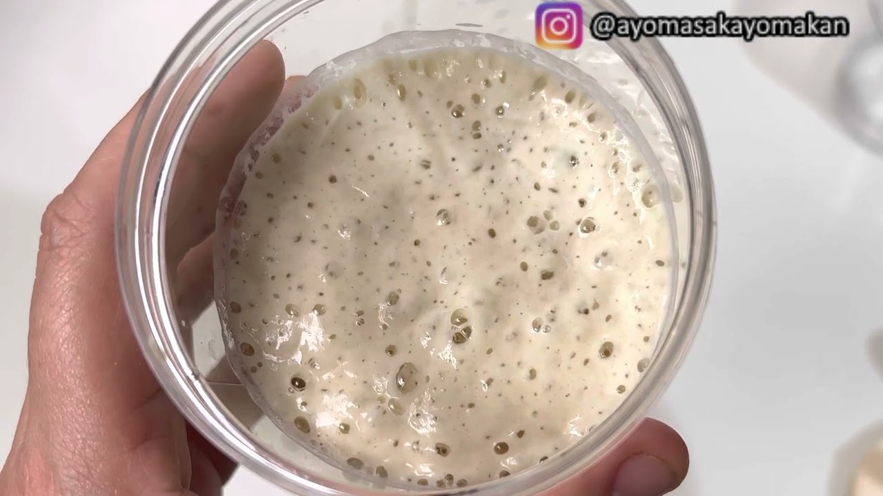 Sourdough Starter