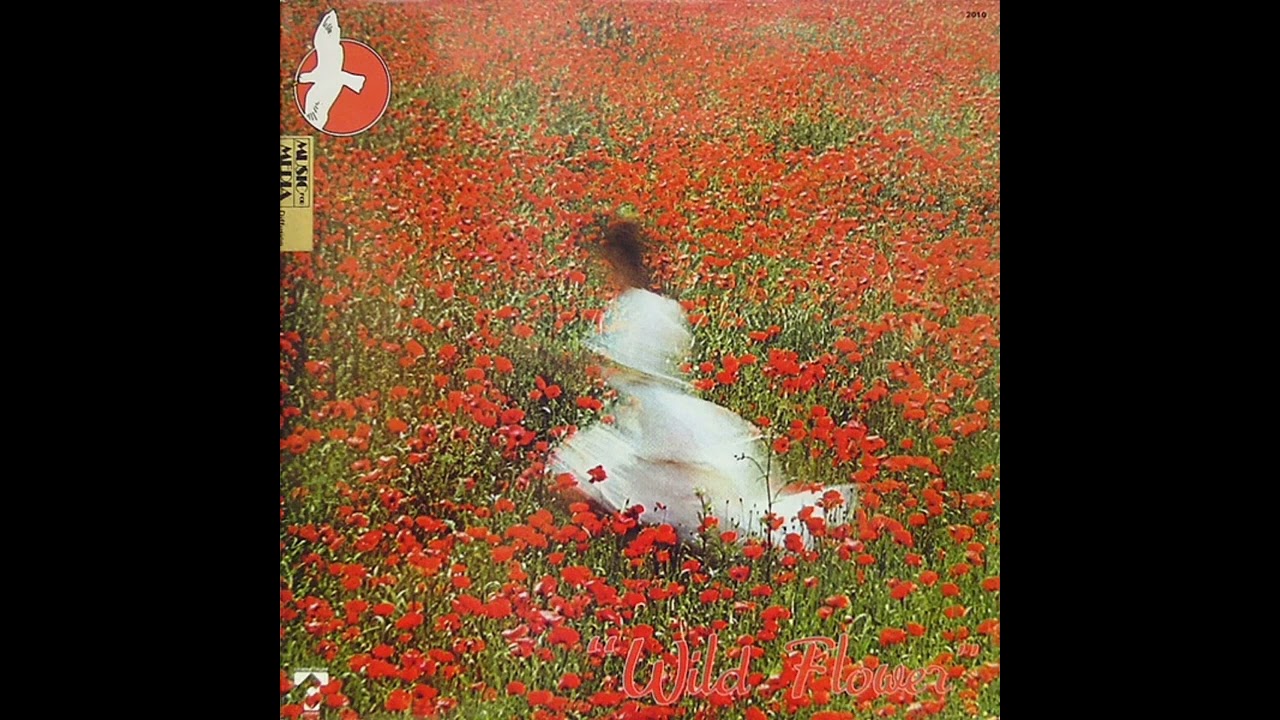 Alan Feanch & Cecil Wary - Flash Resonance: Wild Flower (1976) (CT 2010) [Full Album]