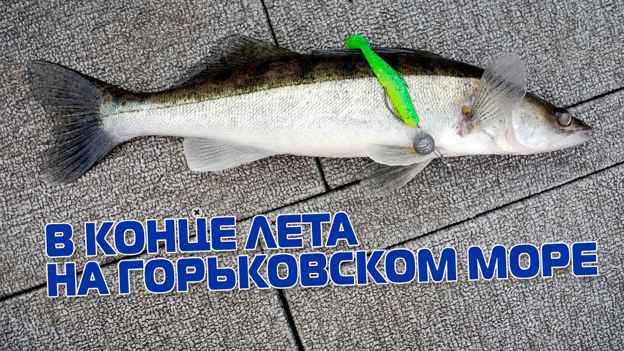 Джиг в конце лета. Горьковское водохранилище. На рыбалку с Нижегородцами