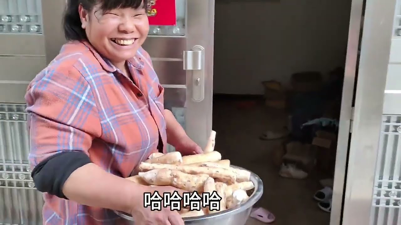 今天把昨天拔回来的木薯晒片，留了一盆拿来煮糖，粉粉糯糯好好吃