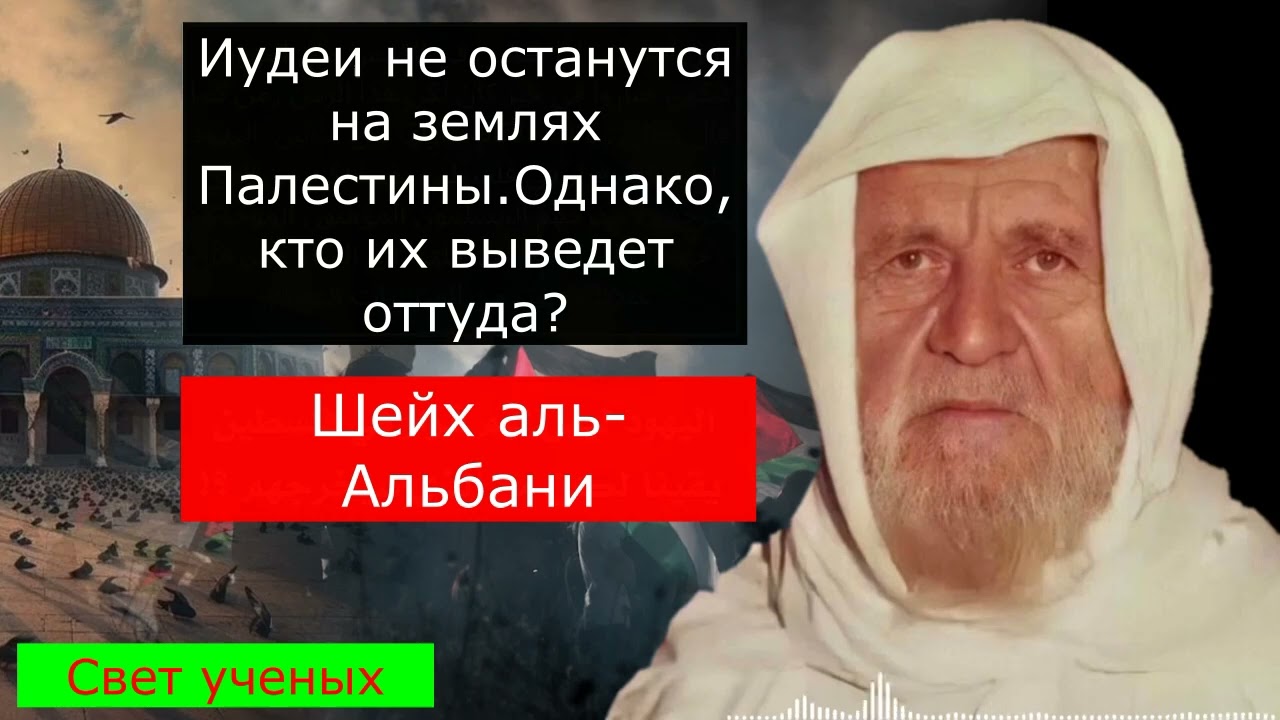 Иудеи не останутся на землях Палестины,кто их изгонит?Шейх аль Альбани