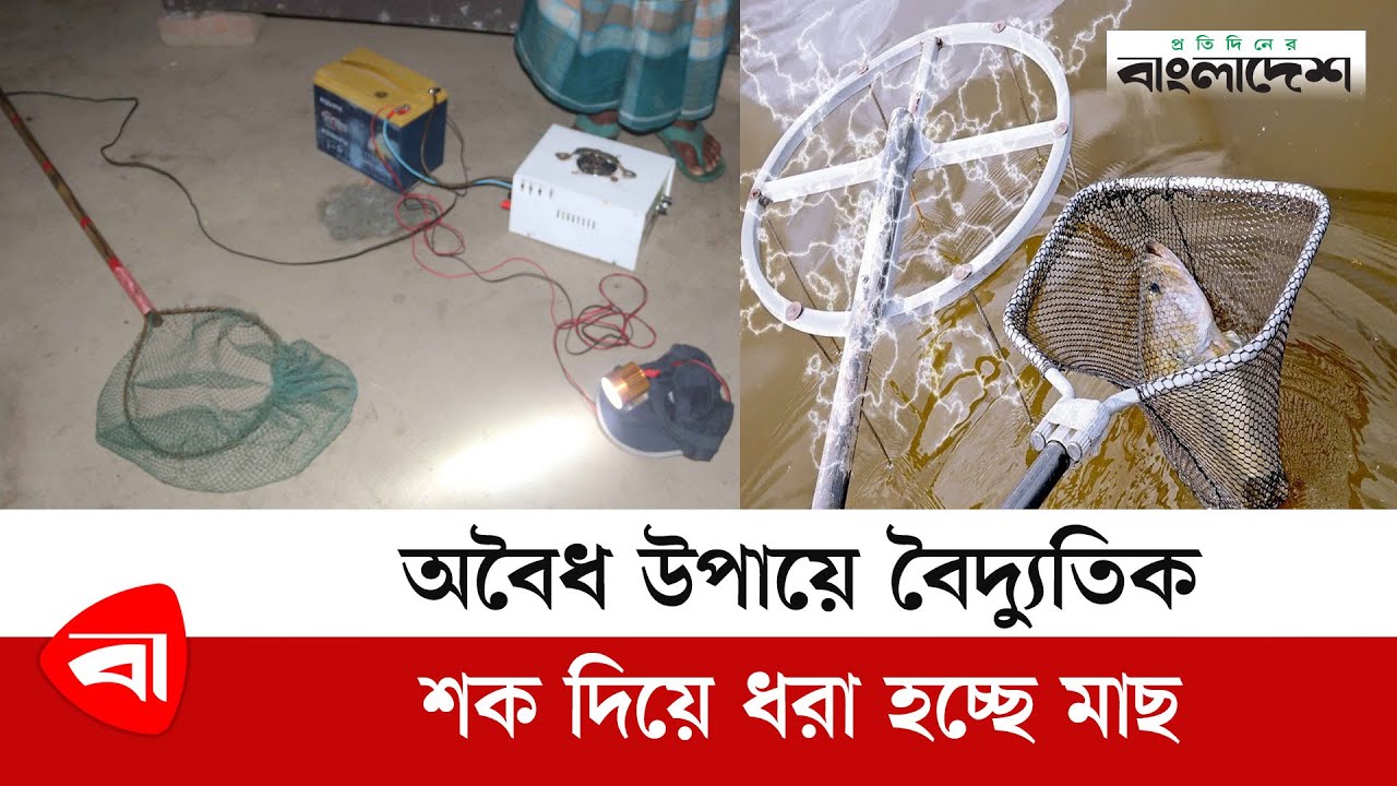 অবৈধ উপায়ে বৈদ্যুতিক শক দিয়ে ধরা হচ্ছে মাছ | Electric fishing machine | Protidiner Bangladesh