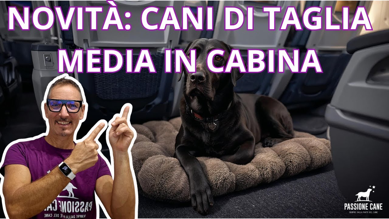 NOVIT&Agrave;: CANI DI TAGLIA MEDIA IN CABINA A BORDO DI AEREO