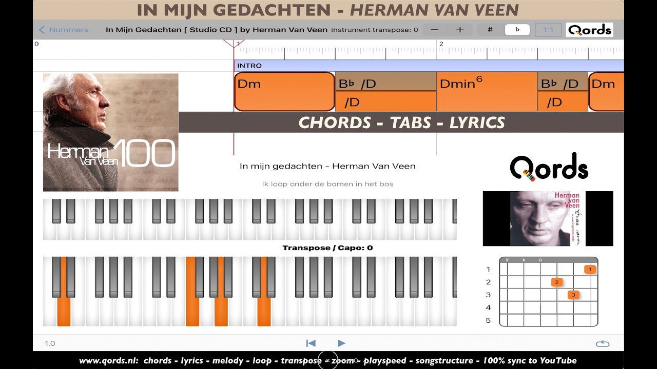 HERMAN VAN VEEN - In Mijn Gedachten  CHORDS TABS LYRICS PLAYALONG  #nederlandstalig #qords_app