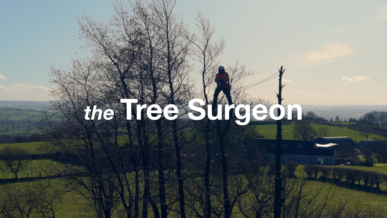 the tree surgeon 4k