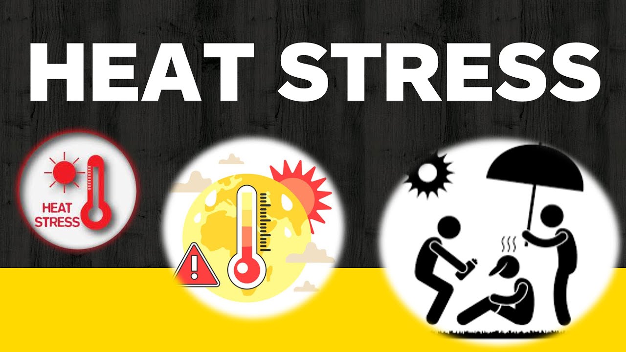 Heat Stress Safety Management Training