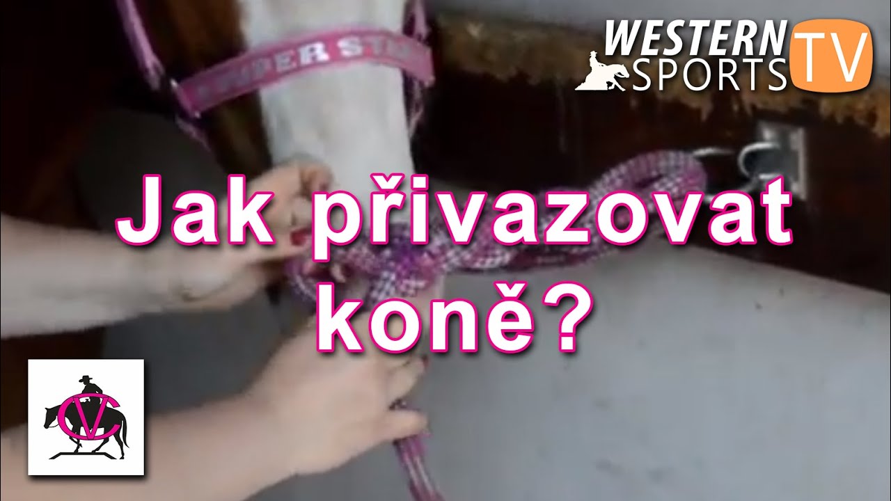 Veronika Cejpová: Jak správně a bezpečně přivazovat koně?