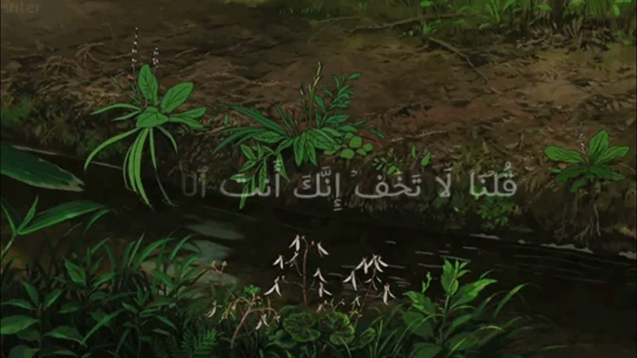سورة طه كامله - الشيخ محمد ايوب #سورة_طه #القرآن_الكريم #محمد_ايوب 