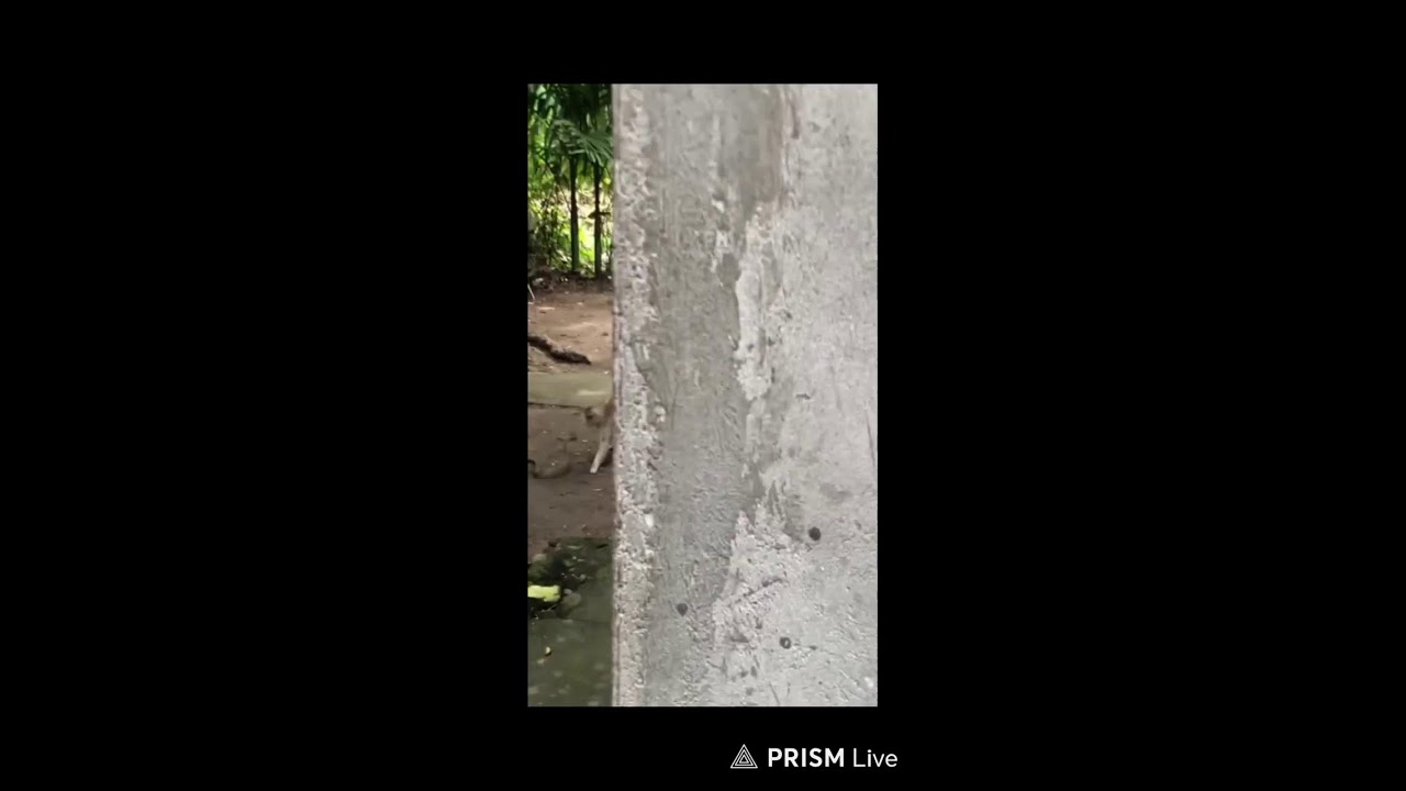 Прямая трансляция Moscow suppliers🚴‍♂️
