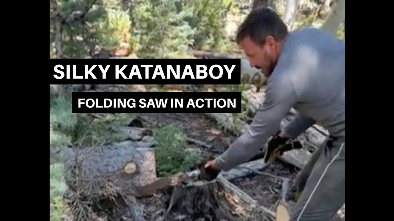 Silky KatanaBoy Folding Saw in action foraging firewood