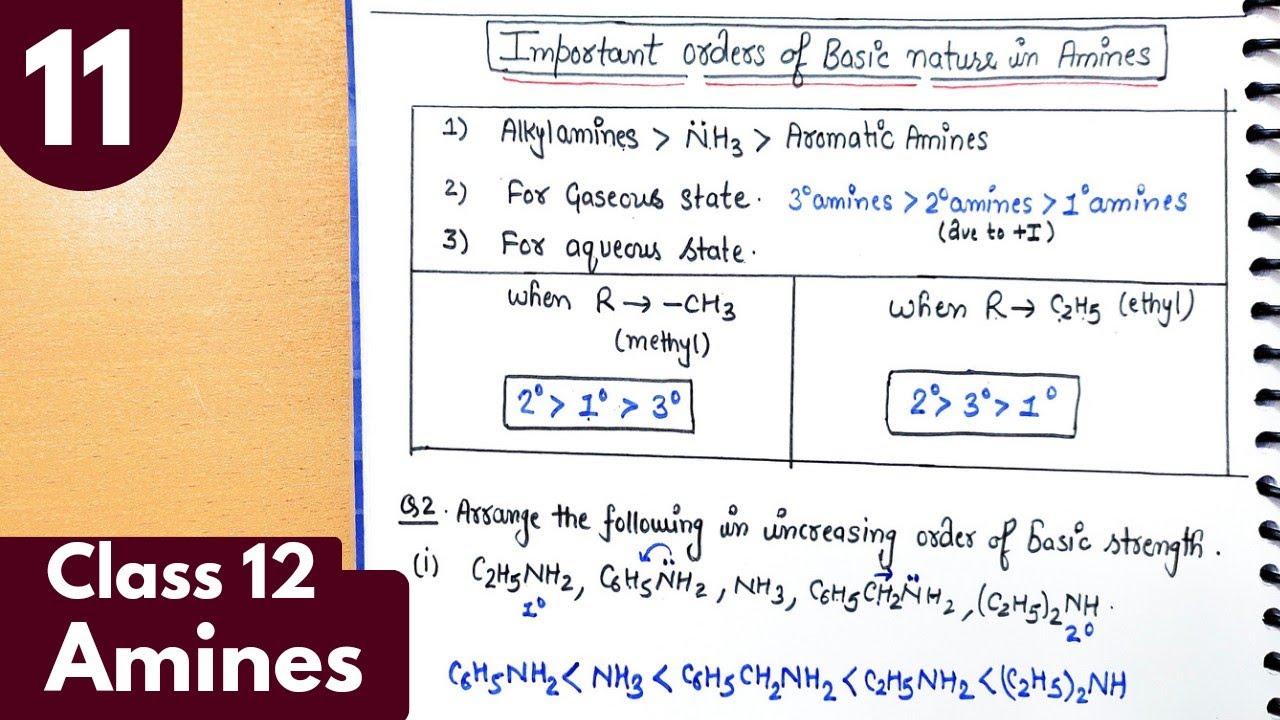 11) Important Ncert questions on basic order of amines| basic nature of amines PYQ| Amines class12