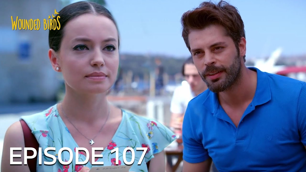 Wounded Birds | Episode 107