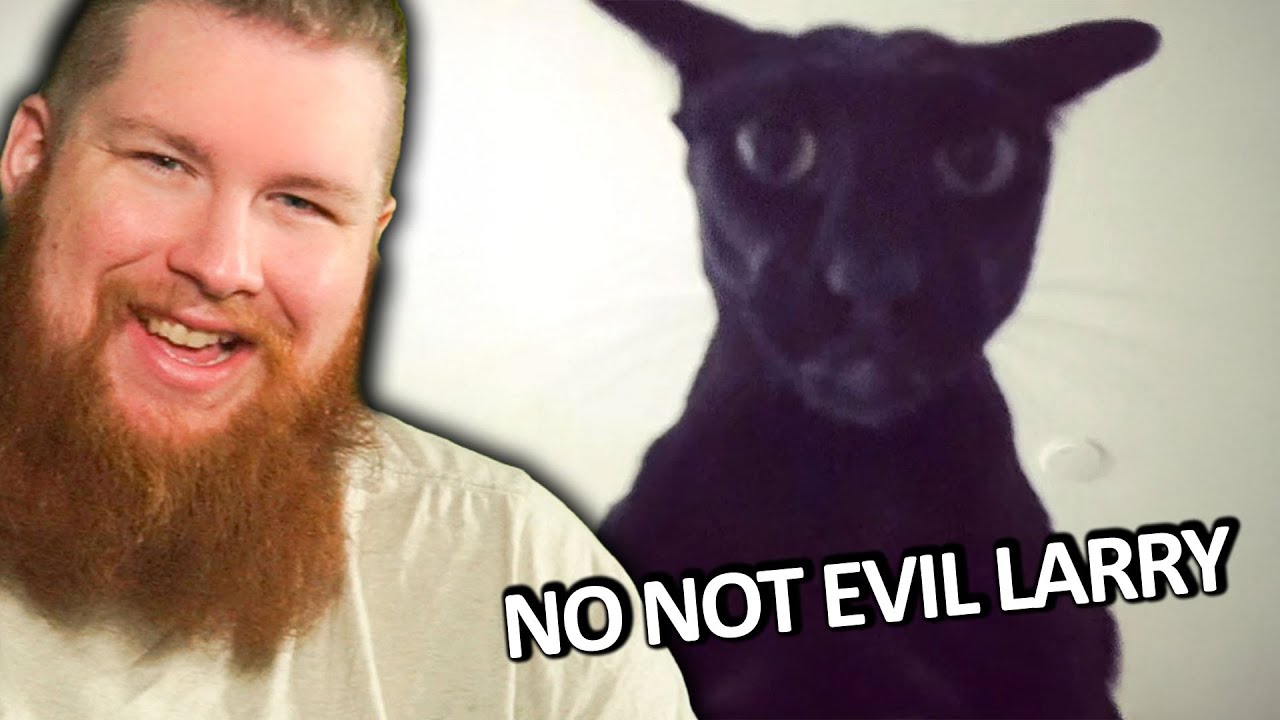 Memes That Are Oddly Funny (yet im still laughing)