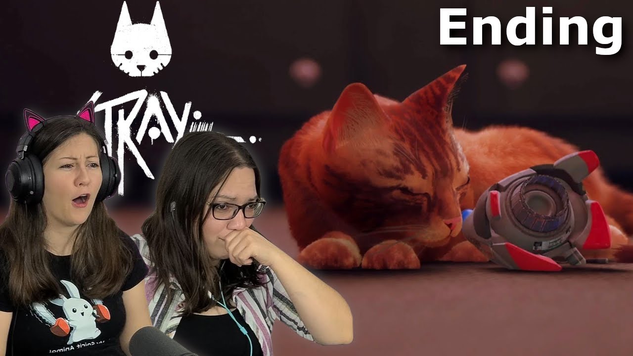 This was so sad :( Stray Ending