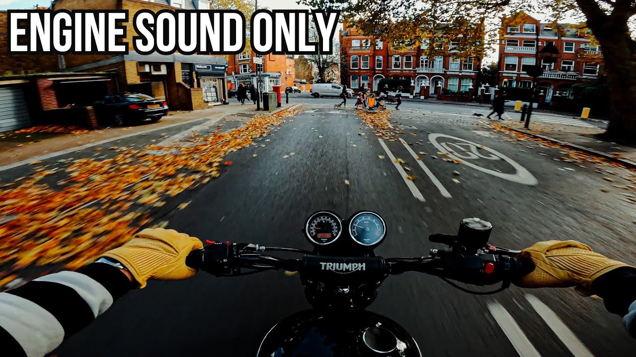 Autumn Ride | TRIUMPH SCRAMBLER 900 | POV RAW SOUND [4K]