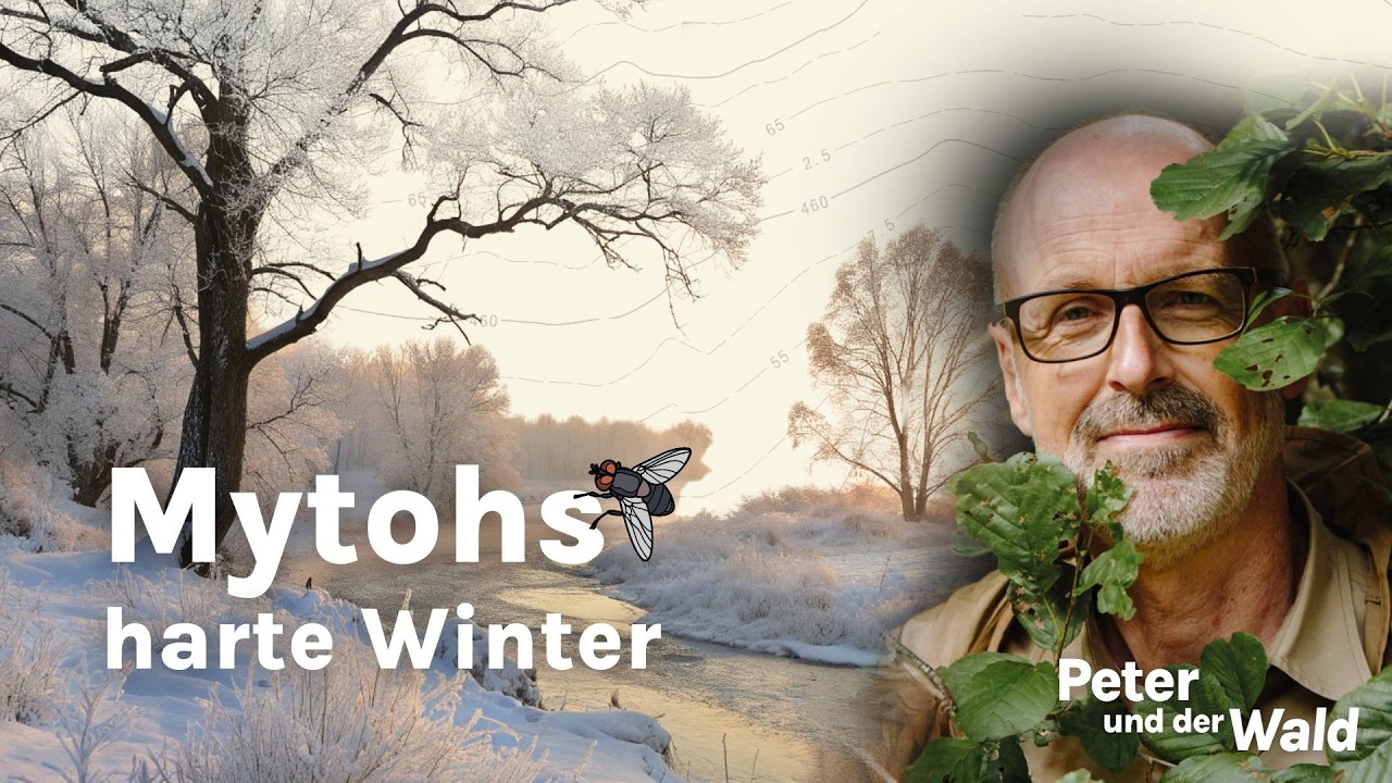 Kurzwissen - Warum kalte Winter Mücken nicht stoppen – Mythos vs. Realität