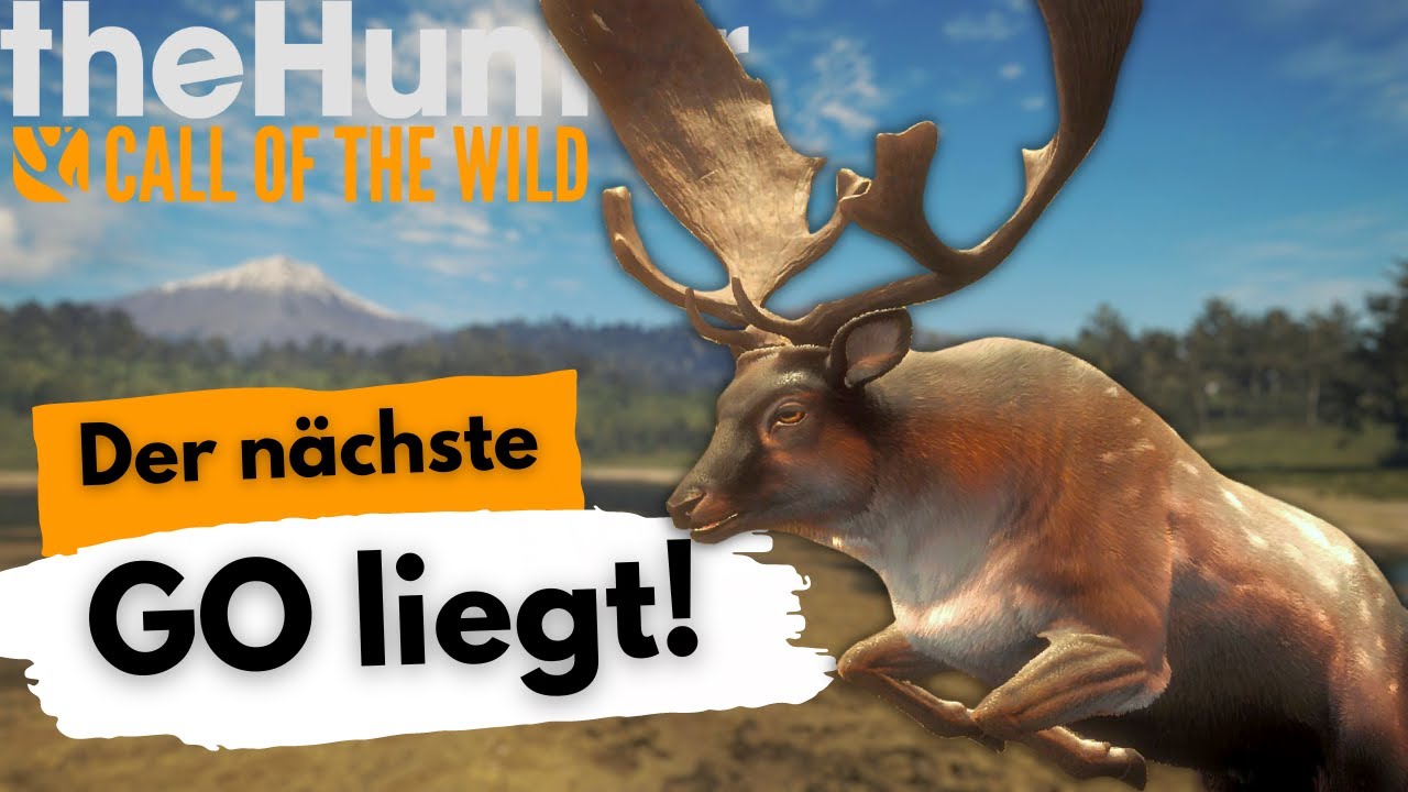 Damhirsch Great One - Der 1. GO liegt! | the Hunter Deutsch