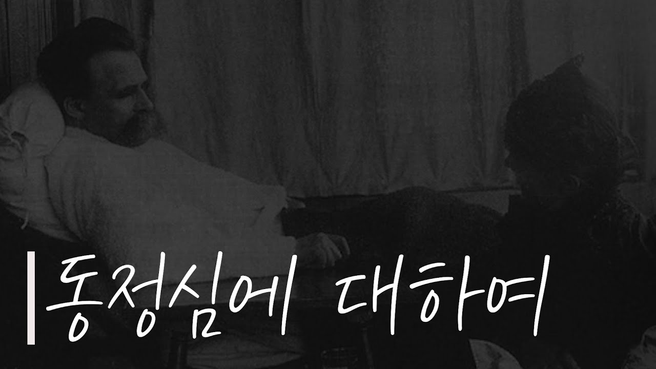 인간은 왜 동정을 할까? 니체는 왜 동정을 싫어했을까?