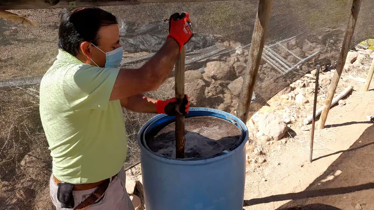 PRODUCCION DE ACIDO HUMICO CON ESTIERCOL DE VACUNO