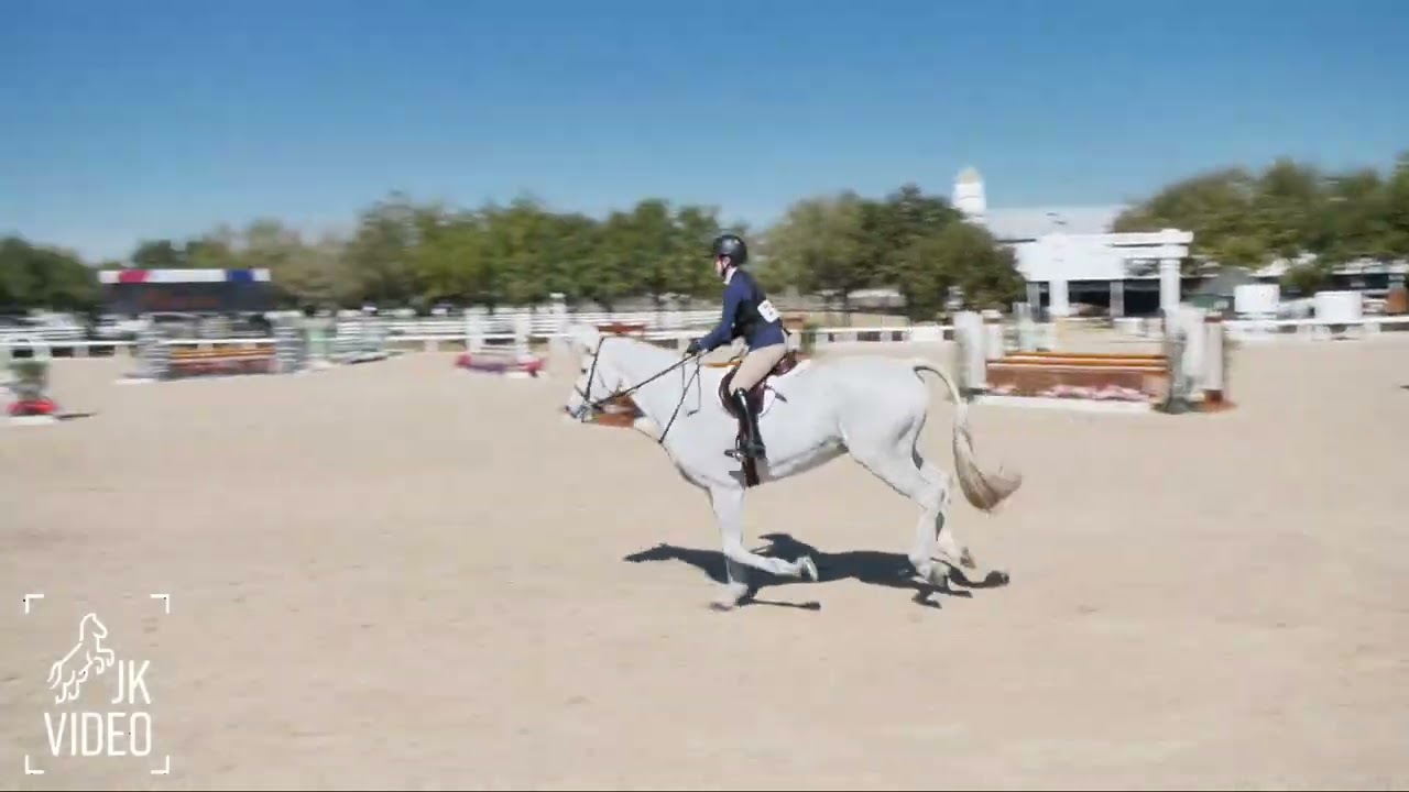 RSH Galaxy Dream - GSWEC Winter Series II - 3’3” Junior Hunter O/F