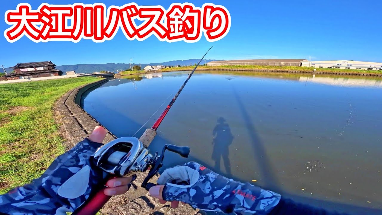 初めての大江川バス釣りで大苦戦！色々とポイントを巡って初バスを狙う