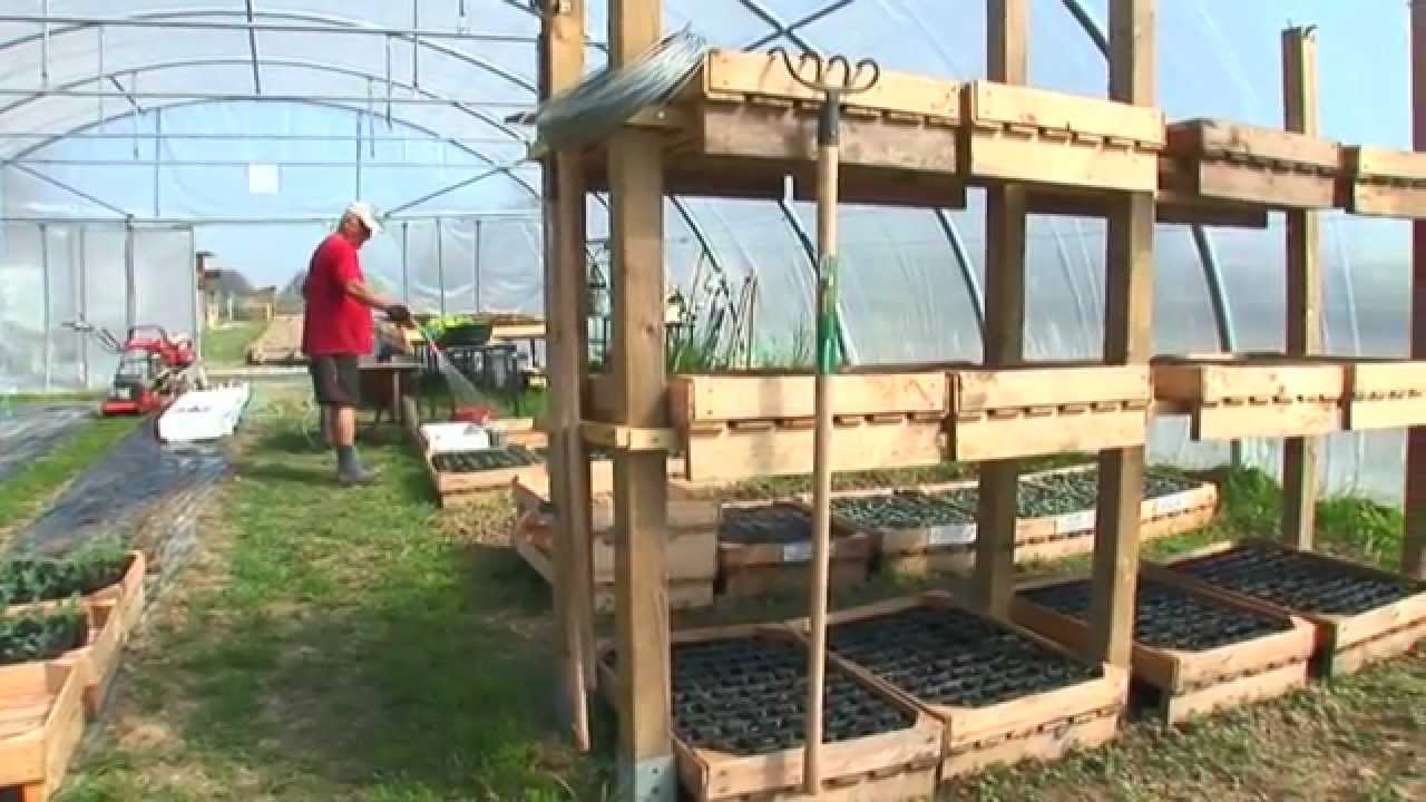 La ferme alternative