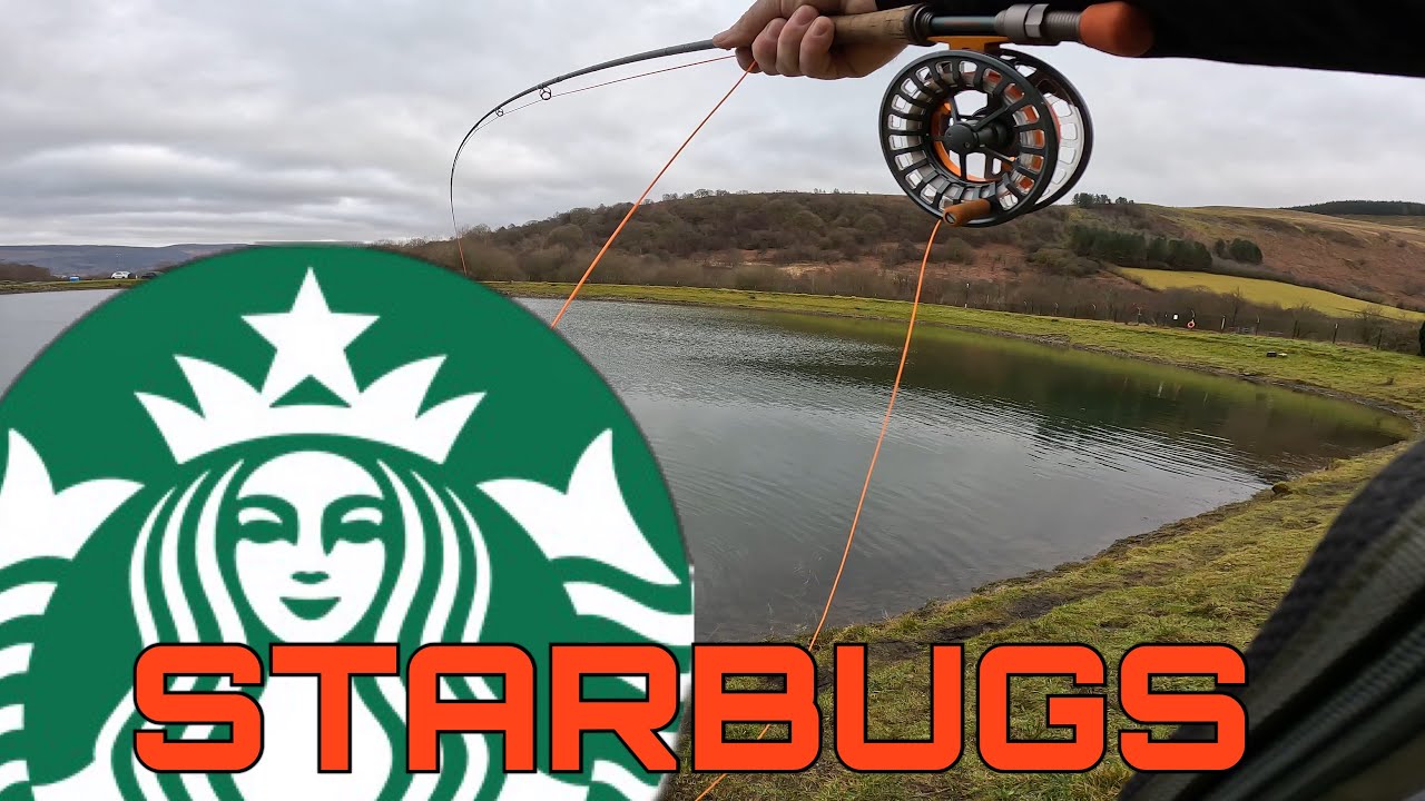 STARBUGS - February Fly Fishing at Dare Valley Trout Fishery